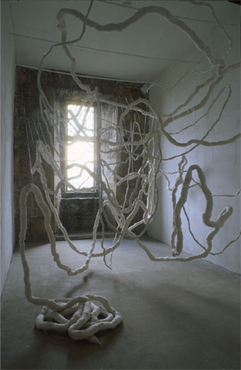 embroiled hung/suspended in small room in castle